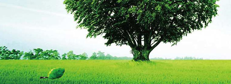 Sustainability_Banner