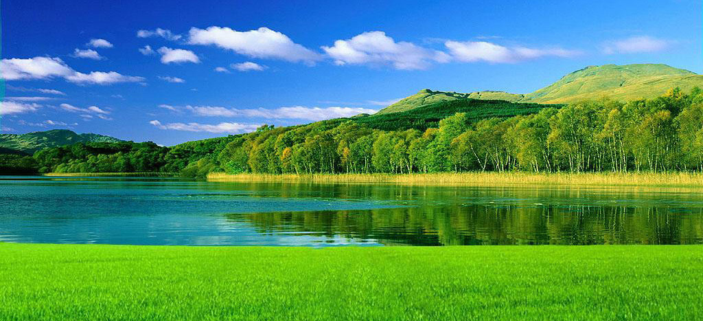 Adhesives Sealants Landing Image